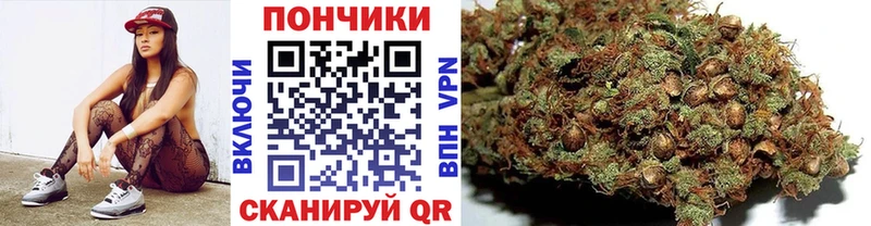 Наркота Абдулино Псилоцибиновые грибы  Alpha-PVP  ГАШИШ  МЕФ  Канабис 